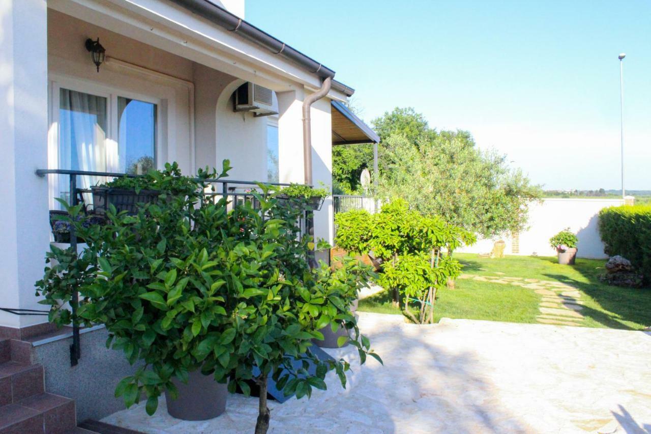 Apartmán Lila Novigrad (Istria)