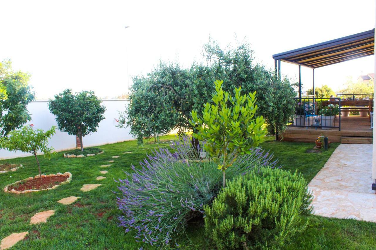 Apartmán Lila Novigrad (Istria)