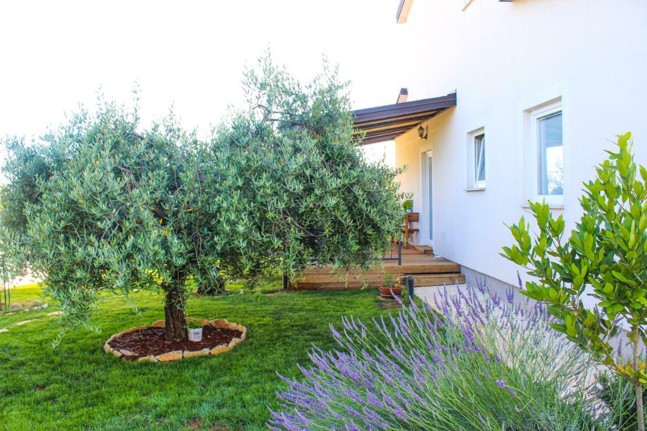 Lila Apartment Novigrad (Istria)