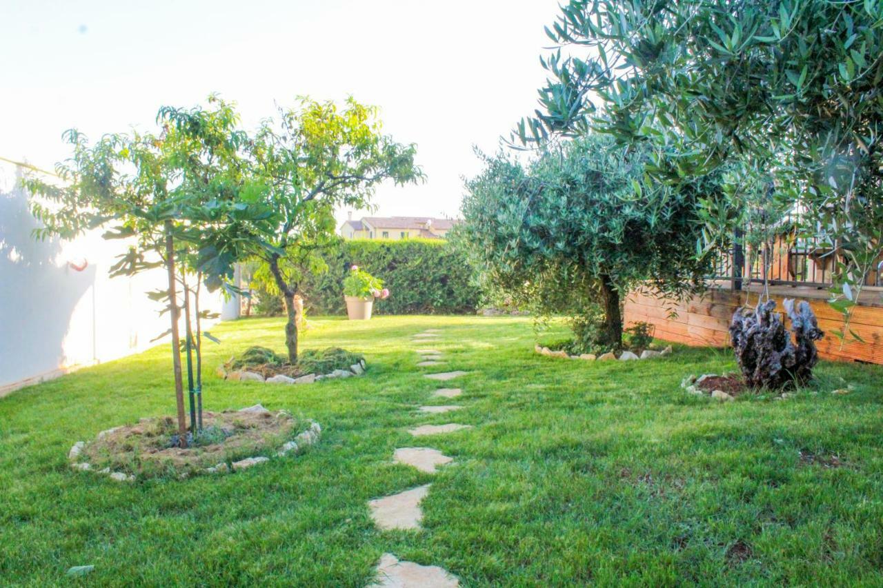 Apartment Lila Novigrad (Istria)